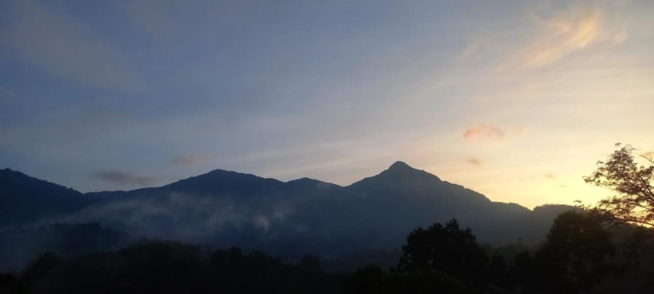 Green Magic Riverside Resort Munnar Exterior foto