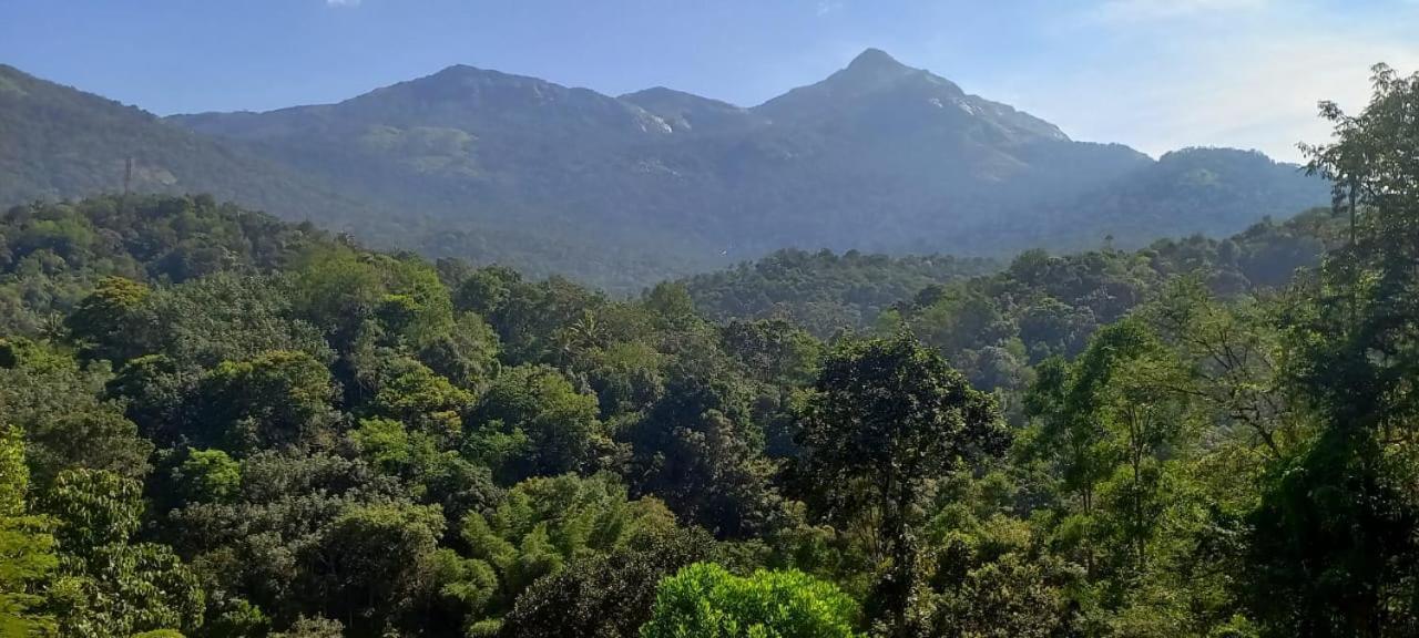 Green Magic Riverside Resort Munnar Exterior foto