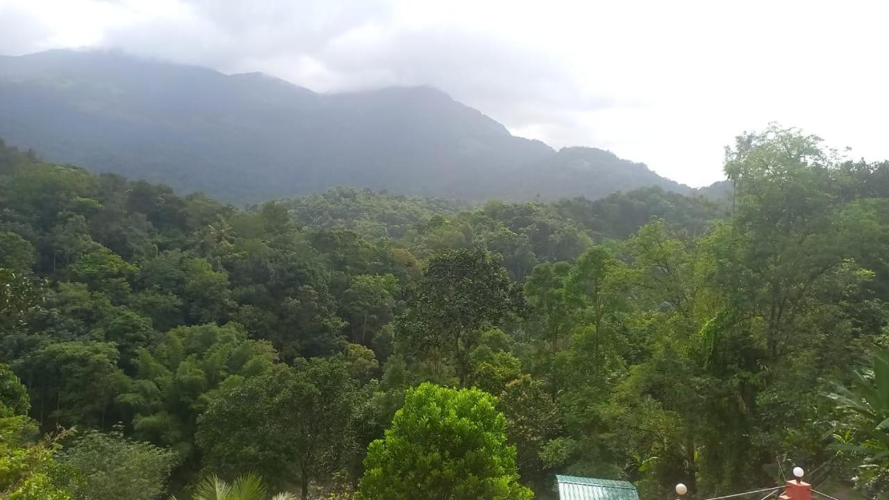 Green Magic Riverside Resort Munnar Exterior foto