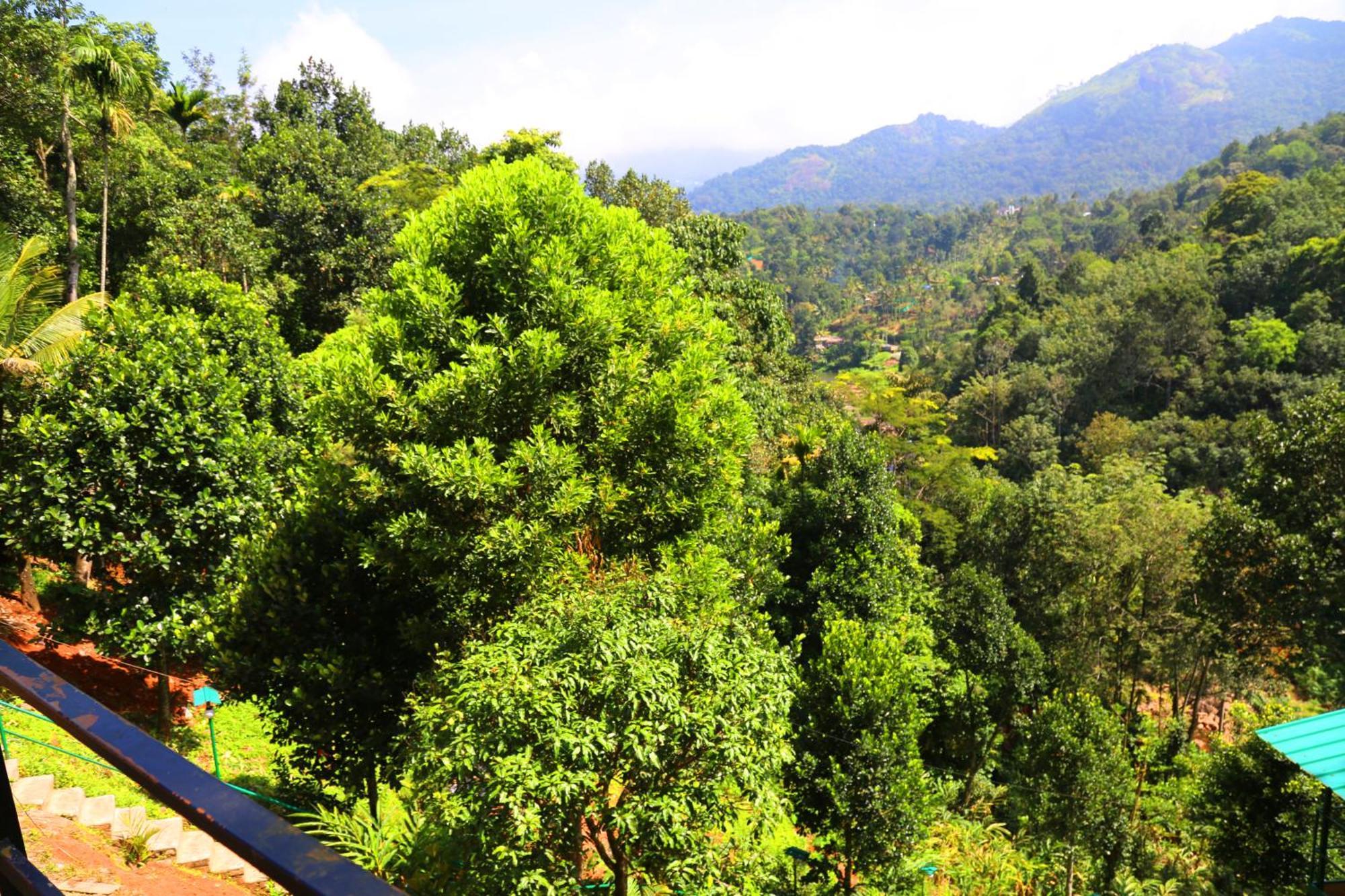 Green Magic Riverside Resort Munnar Exterior foto